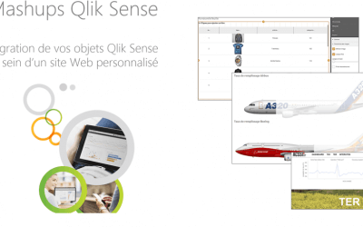 Vidéo : Enrichissez votre plateforme Qlik Sense avec les Mashups et Extensions