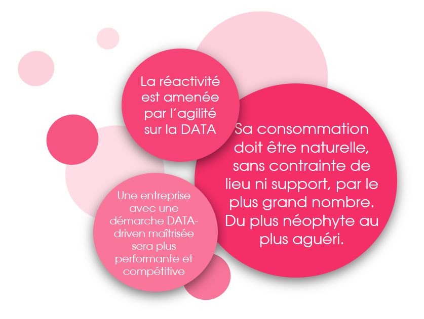 Vision DATA ACSSI